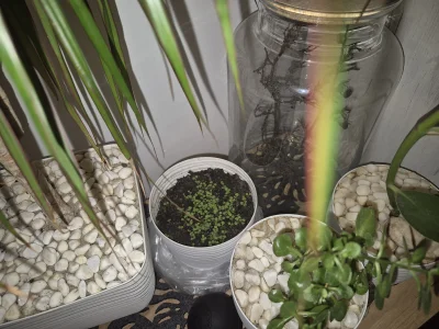 niedasieukryc - @niedasieukryc: