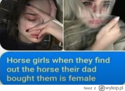 heez - #heheszki #koniary