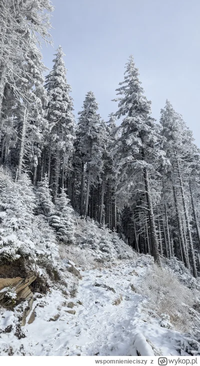 wspomnienieciszy - @marcus-tipo: Podejscie.