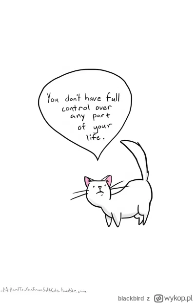 blackbird - znalazle mwlasnie przy porzadkowaniu ssd,
smutne ale jakże piekne, chce m...