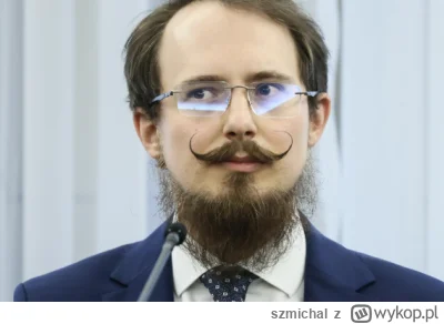 szmichal - #wybory #bekazpisu #polityka Dostajecie fajną robotę ale któregoś dnia bud...