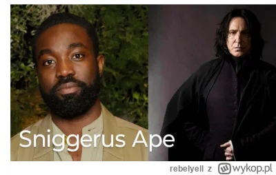 rebelyell - #harrypotter #hbomax #czarnyhumor #heszheszki