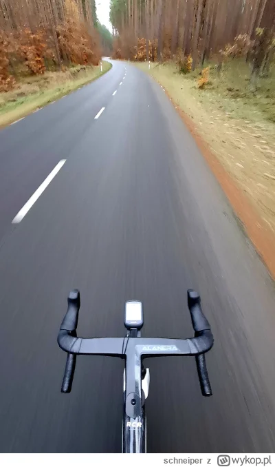 schneiper - 637 613 + 52 + 102 = 637 767

W zeszłym tygodniu było tak zimno i wilgotn...