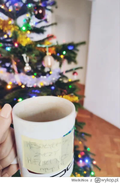 WielkiNos - Wesołych świąt!

#swieta #wigilia #polskiedomy #choinka #bozenarodzenie