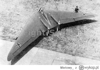 Mietowy_ - Niemiecki Ho-229