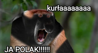 KjatanSveisson - #konkursnanajbardziejgownianymemznosaczem 

Kiedy pracowałeś u Hansa...