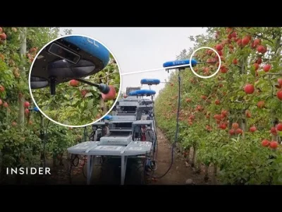 tomilipin - Drony zbierają jabłka i zapylają kwiaty. Future is now.

#futurecontent #...