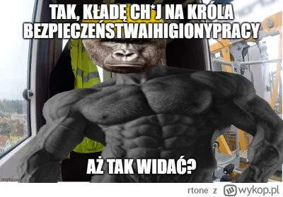 rtone - Tak, oczywiście, że kradne sztuke z tagu, aż tak widać?