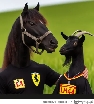 Najmilszy_Maf1oso - ( ͡° ͜ʖ ͡°)
#f1 #goat44