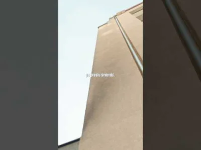 freedomseeker - Pizzeria po kuchennych rewolucjach...
Komentuje #ksiazulo
#pizza ...