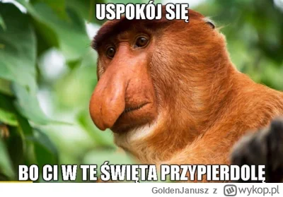 GoldenJanusz - #przegryw