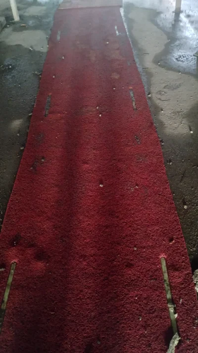 Tozsamoscprawdziwa - @Tozsamoscprawdziwa: i czerwony dywan dla takiego gwiazdora jak ...