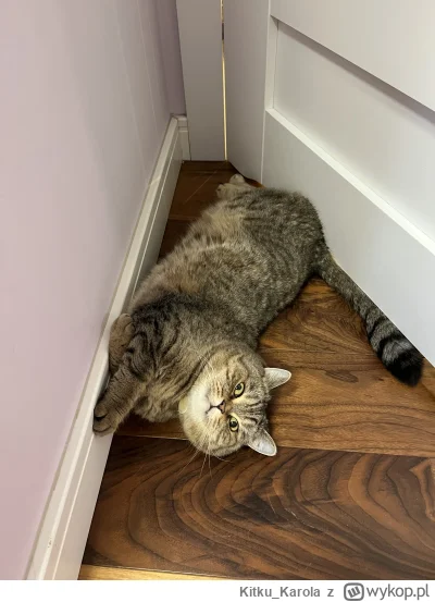 KitkuKarola - @wybryknatury