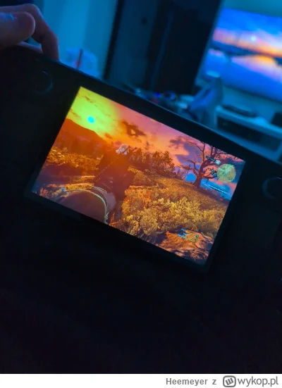 Heemeyer - #steamdeck

W szoku jestem jak dobrze się gra w Wieśka na tym głównie mały...