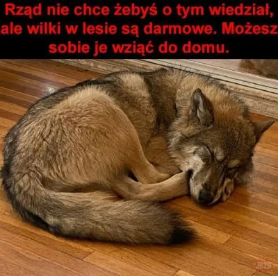 MLeko29 - Dzień dobry