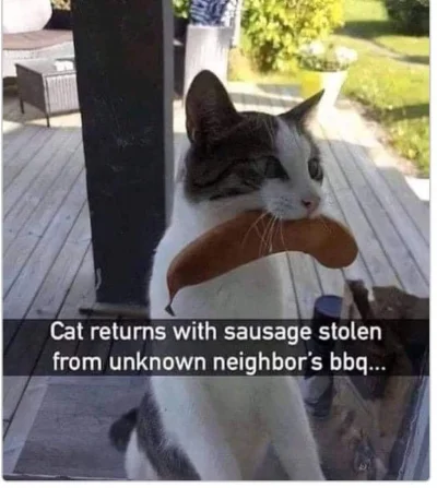 wybryk_natury - #zlodziejskiewybryki