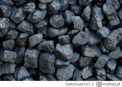 TylkoDuda123 - Jak to jest w końcu z polskimi kopalniami węgla kamiennego? 

-Mamy zy...