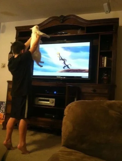 m8o7 - aaa cybenia mamale łałała