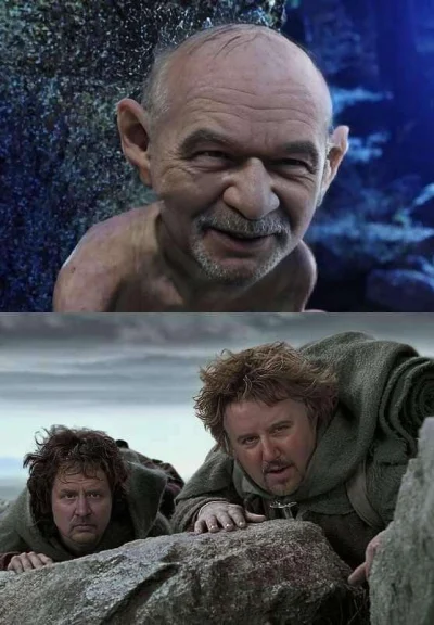 ShineLow - #lotr #swiatwedlugkiepskich #heheszki

Panie Frodo ale do takiego Mordoru ...