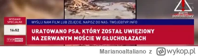 MarianoaItaliano - Widzicie mirki do czego prowadzi bambinizm xD Zamiast pokazywać ja...