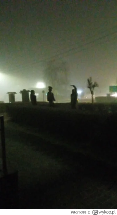 Pitorro88 - Muzykanty we mgle