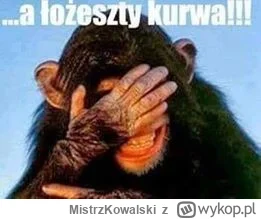 MistrzKowalski - @Gdybykozkanieskakala: tak jak napisałem, #!$%@?ąłeś chora teorie i ...