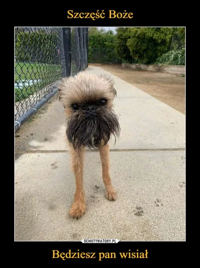 RobieInteres - #sejm