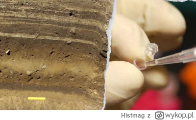 Histmag - Znalezisko - DNA wikingów w Lutomiersku (komentarz archeologa) (https://wyk...