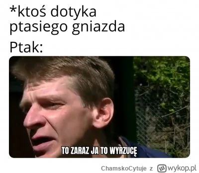 ChamskoCytuje - Natura jest wspaniała.
#kononowicz