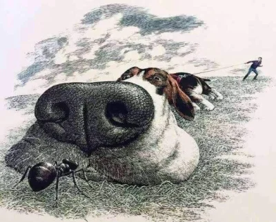 deptanie-homonculusa-michala-bialka - #przegryw małoletnia altka z septum i przekłuty...