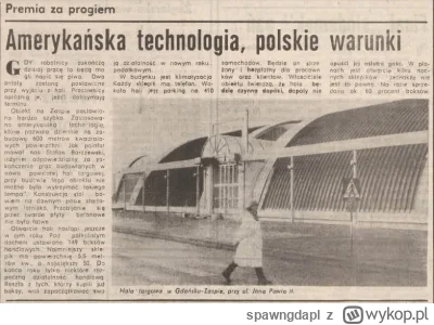 spawngdapl - @spawngdapl: