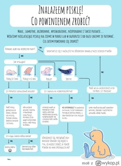 moll - @MROWASPURSTOTTENHAM:
https://ostoja.gda.pl/piskleta-i-podloty-czyli-jak-nie-z...