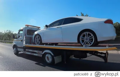 pafcio80 - naturalne środowisko elektryka