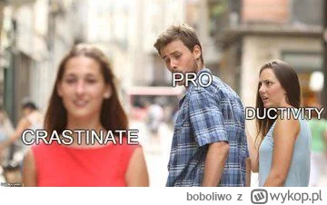 boboliwo - #prokrastynacja #produktywność #memy #pasjonaciubogiegozartu