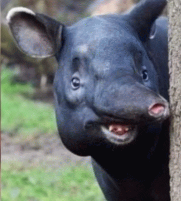 jaroty - #sejm #polityka

PROSZĘ NIE MÓWIĆ DO MNIE MARSZAŁKINI AAAEEEAAA