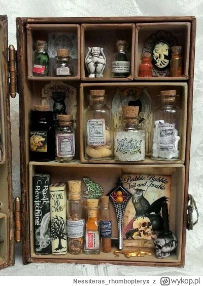 Nessiteras_rhombopteryx - #gabinetosobliwosci