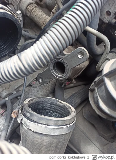 pomidorkikoktajlowe - @pomidorkikoktajlowe