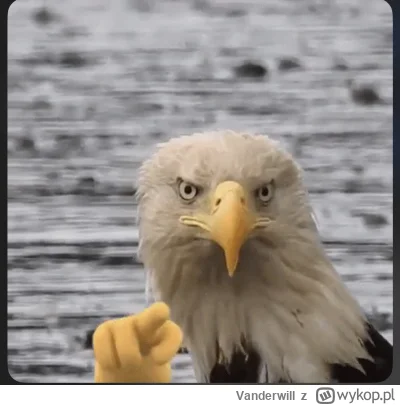 Vanderwill - @Vanderwill: