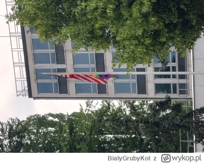 BialyGrubyKot - Obczajcie lepiej to... Xd flaga lgbt obok flagi USA na ambasadzie w W...