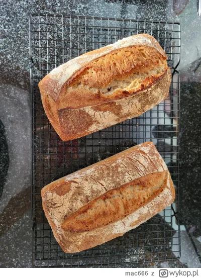 mac666 - Chlebki gotowe, teraz czas na kawusie. Miłego dzionka!

#bojowkapiekarska #g...