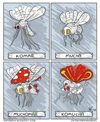 Flapjadzek - #dowcip