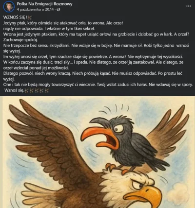 josedra52 - Złote myśli z #facebook ( ͡° ͜ʖ ͡°)

#niemcy #emigracja #januszcore #graz...