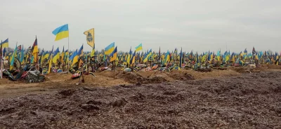 kantek007 - #ukraina 
Powiedziałbym, że całkie pro tych grobów