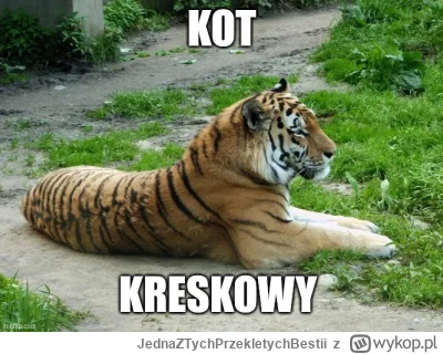 JednaZTychPrzekletychBestii - #heheszki #humorobrazkowy #koty #smiesznykotek #smieszn...