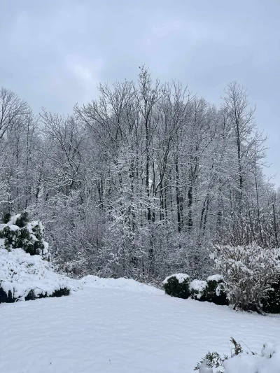 kolorowy_monochrom - Mocno śniegowo dziś trzeba przyznać, w sumie to fajnie. O wiele ...