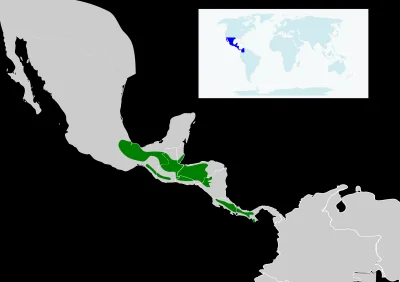 Lifelike - Zasięg występowania: