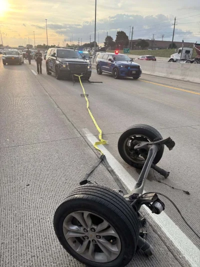 Neocaridina - #motoryzacja #samochody #heheszki #mechanikasamochodowa