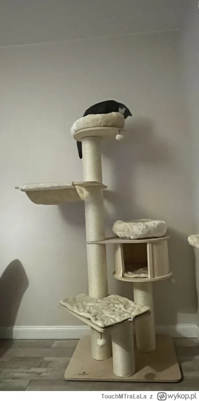 TouchMTraLaLa - Gajsonik chyba zadowolona z prezentu na Dzień Dziecka ( ͡° ͜ʖ ͡°)
#ko...