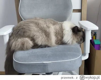 przemek- - @przemek-