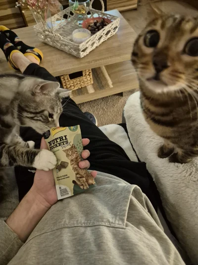 Lujdziarski - #pokazkota #dziarskikacperek Jak narkomani xD